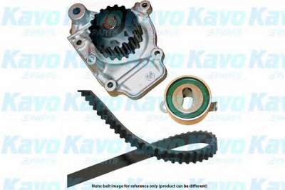 KAVO PARTS dkw2007 -  Водяной насос + комплект зубчатого ремня